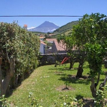 Quinta do Canto, 弗拉门戈斯 — 照片 5