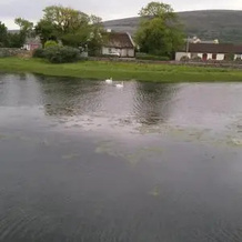 Gentian Villa B&B, Ballyvaughan — photo 5