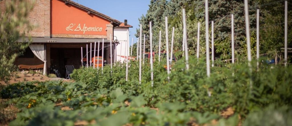L'Alpenice Bioagriturismo, Savignano sul Panaro — photo 1