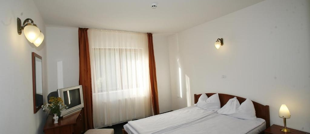 Hotel Paltinis, Борса — фото 1