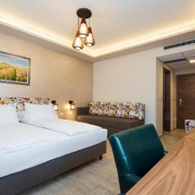 Hotel Borkovac, 鲁马 — 照片 5