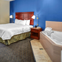 Hampton Inn Coldwater, Колдуотер — фото 2