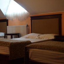 Pension La Cetate, Вынэторь Нямц — фото 2