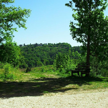 Alle Vallesse, Altavilla Vicentina — photo 5