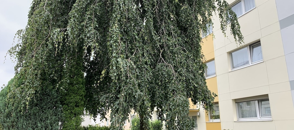 Domapartment Airport Koeln-Bonn, 特罗斯多夫 — 照片 1