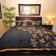 Oceanwalk 13-401 Apartment 3, New Smyrna Beach — photo 4