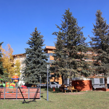 Bakuriani Inn, Бакуриани — фото 5