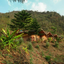 Explore Himalayas Resort, 白洲 — 照片 5