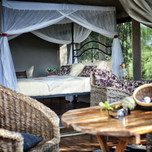 Tarangire River Camp, Mbali Mbali Lodges and Camps, 塔兰吉雷国家公园 — 照片 4