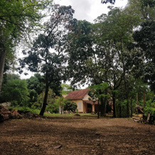 Casarão Hostel, 特雷斯里奥斯 — 照片 3