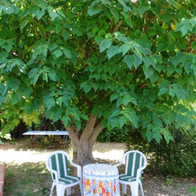 House With 2 Bedrooms in Massillargues-attuech, With Pool Access, Encl, 马西拉尔格-阿蒂埃什 — 照片 5