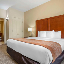 Comfort Inn & Suites Daphne Spanish Fort - Mobile East, Дафни — фото 5