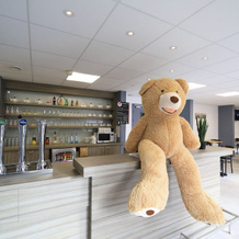 Brit Hotel Essentiel Le Polder - Gravelines, 格拉沃利讷 — 照片 3