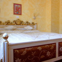 Hotel Royal, Zalau — photo 2