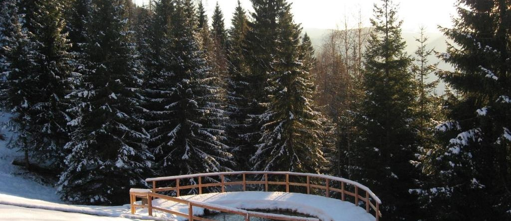 Chalet Nel Doch Villa Cheia, Mezzano — photo 1