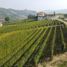 La Via del Sale Holiday Home, Mango — photo 4