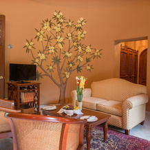 Hacienda Xtepén, 特科 — 照片 3