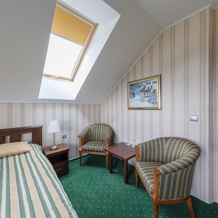 Hotel Krušnohorský Dvůr, 杜比 — 照片 3