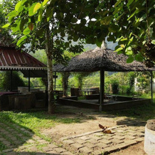 Bethania Resorts Athirapally, Атирапалли — фото 5