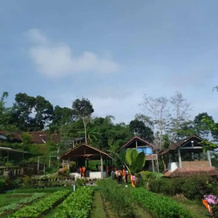 Menoreh Farm Stay Samigaluh Kulonprogo, 帕格尔哈乔 — 照片 3