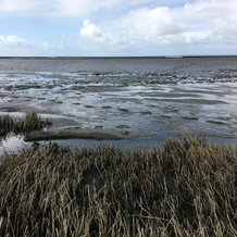 Verschmitzt Am Meer, Эзенс — фото 5