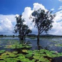 Davidson's Arnhemland Safaris, 霍姆斯 — 照片 4