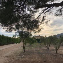 Finca Karicia Business Suite, 卡斯塔利亚 — 照片 4