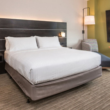 Holiday Inn Express & Suites Tampa North - Wesley Chapel, an IHG Hotel, 韦斯利教堂 — 照片 4