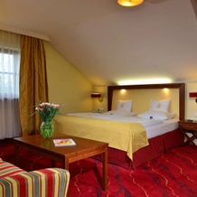 Best Western Plus Hotel Erb, 帕尔斯多夫 — 照片 5