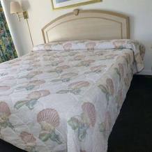 Camelot Waterfront Inn, 北棕榈滩 — 照片 4