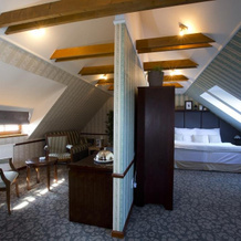 Hotel Golden Eagle, Левице — фото 3