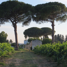 Agriturismo Occhineri, 坎皮萨伦蒂纳 — 照片 3