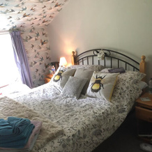 Forest view Bed and Breakfast, 斯特明斯特牛顿 — 照片 4