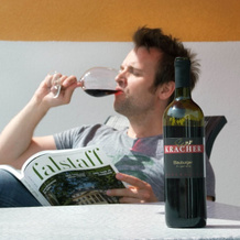 Weingut-Ferienwohnungen Sabine & Sepp Kracher, 伊尔米茨 — 照片 4