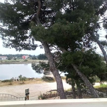 Apartments Jurić - Zablaće, 希贝尼克 — 照片 2