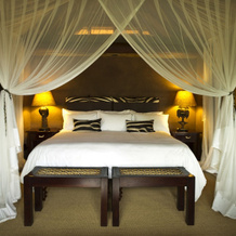 Makweti Safari Lodge, 韦尔格冯登野生动物保护区 — 照片 3