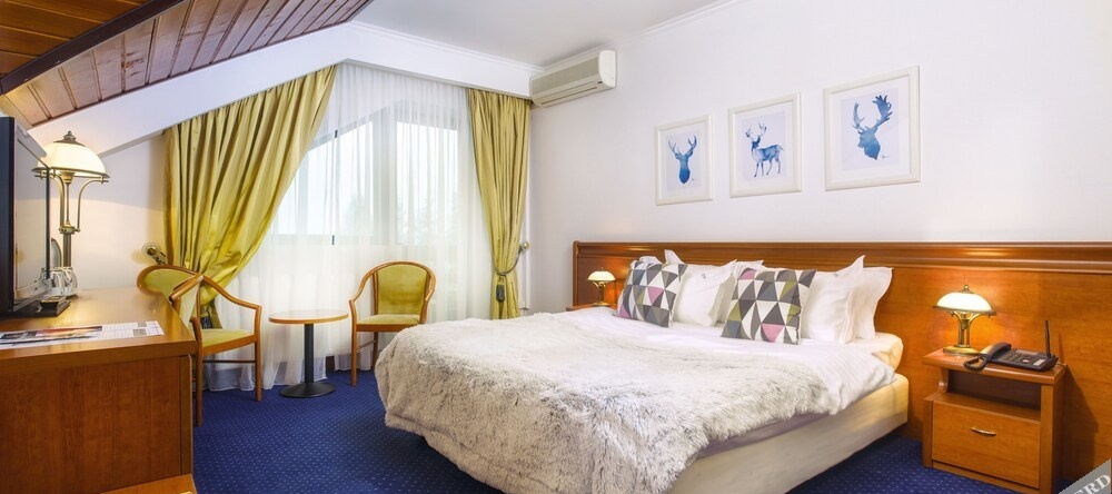 Hotel Simona Halep, 波亚纳布拉索夫 — 照片 1