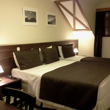 Hotel Willisau, Терезополис — фото 4