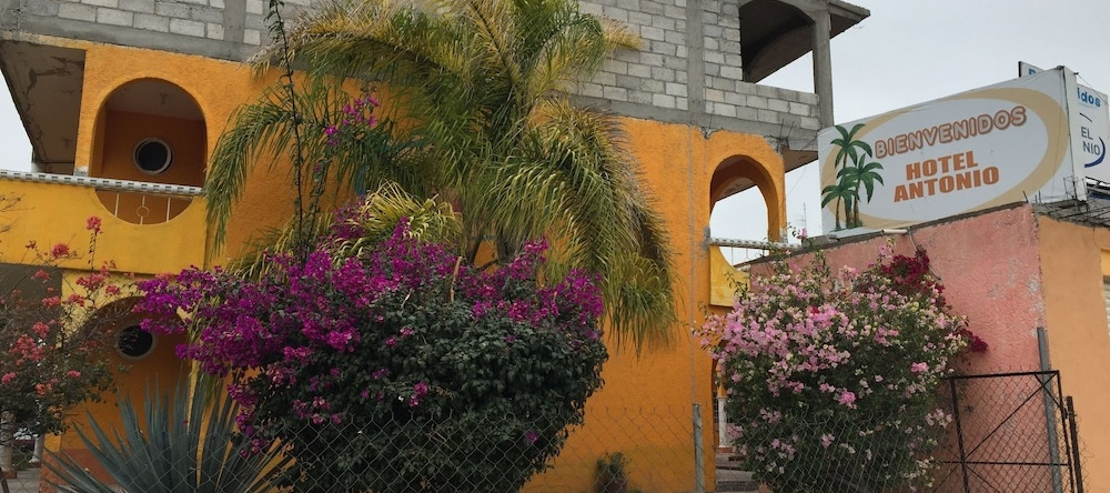 Hotel Posada San Antonio, 伊斯米基尔潘 — 照片 1