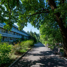 Санаторий Маяк, Курск — фото 3