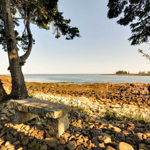 Waterfront Prospect Harbor Cottage: Yard, Fire Pit, 普罗спект港 — 照片 5