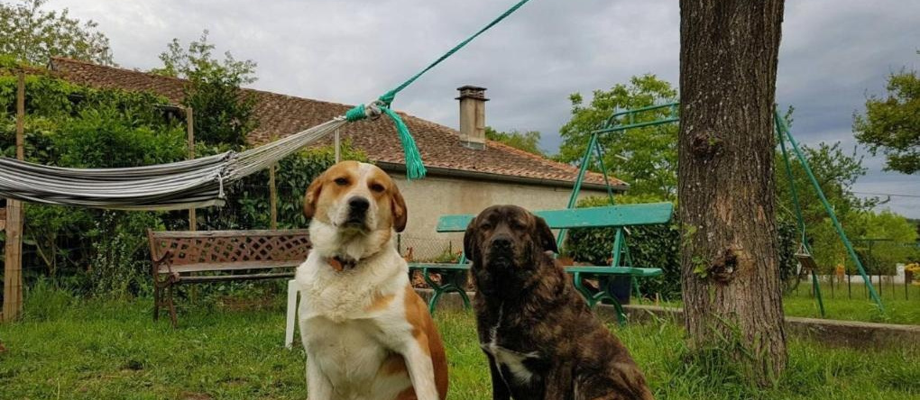 gîte en sud Ardèche, 吕奥姆 — 照片 1