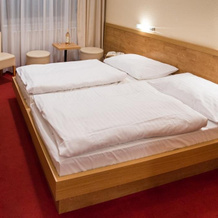 Activitypark Hotel Vsemina, Všemina — photo 5
