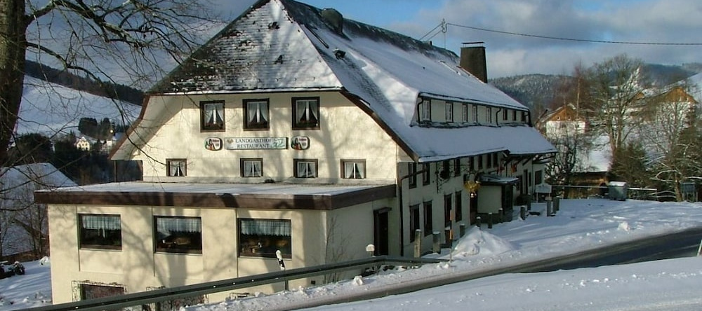 Hotel Landgasthof Adler, Menzenschwand — photo 1