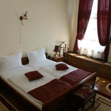 Vila Corviniana, Hunedoara — photo 4
