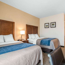 Comfort Inn Apalachin, 奥韦戈 — 照片 3