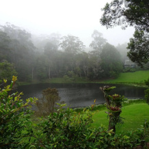 Montville Country Cabins, Montville — photo 5