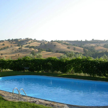 Podere Santa Teresa, 斯坎扎诺 — 照片 5