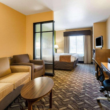 Comfort Suites Jewett, Джеветт — фото 5