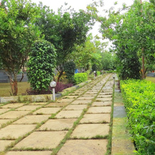 Wild Wadi Cottages, 凯肖德 — 照片 3